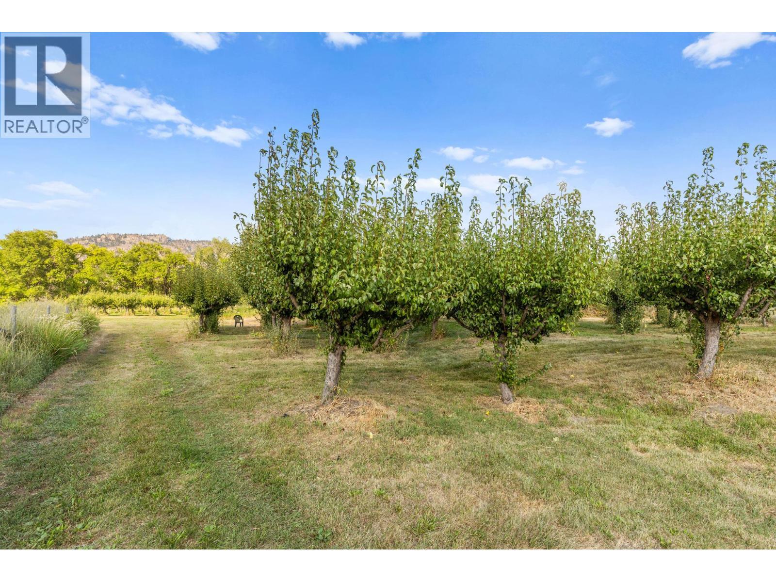 294 Road 18 Road. Oliver, British Columbia