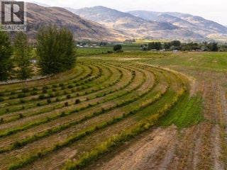 294 Road 18 Road. Oliver, British Columbia