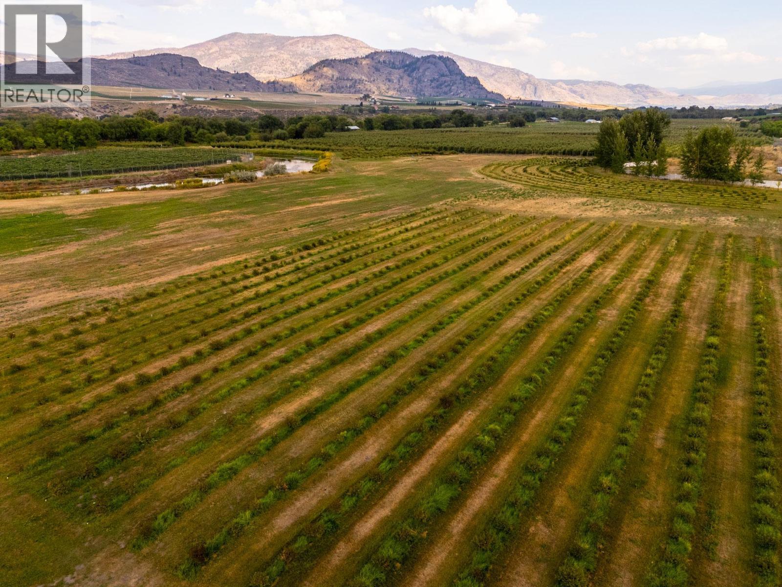 294 Road 18 Road. Oliver, British Columbia