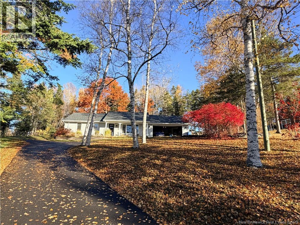 Photo of Listing #NB129674