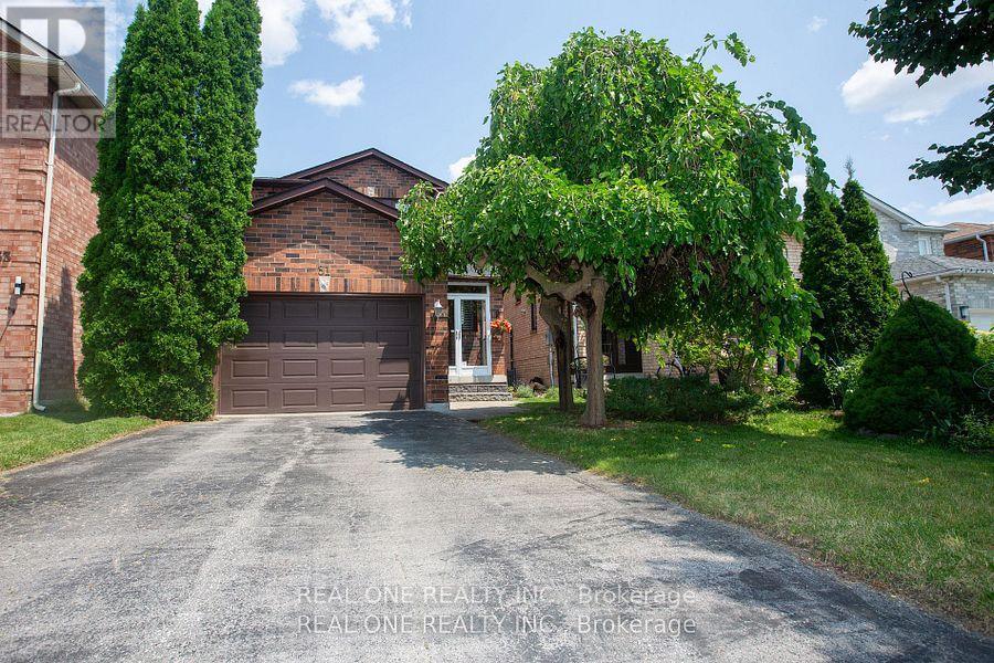 31 Cougar Court, Richmond Hill (devonsleigh)