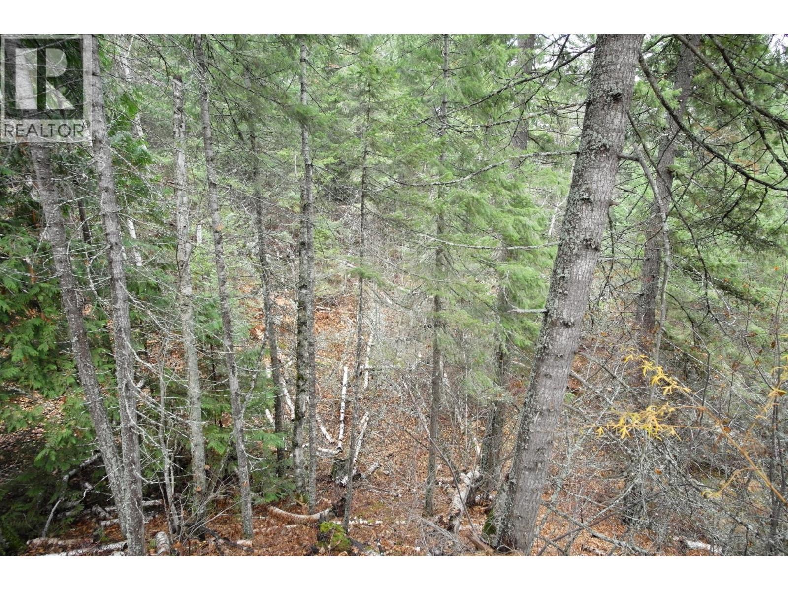 408 Grandview Bench Road. Grindrod, British Columbia