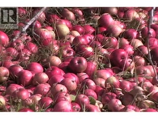 408 Grandview Bench Road. Grindrod, British Columbia