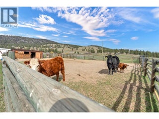 230 Coalmont Road. Princeton, British Columbia