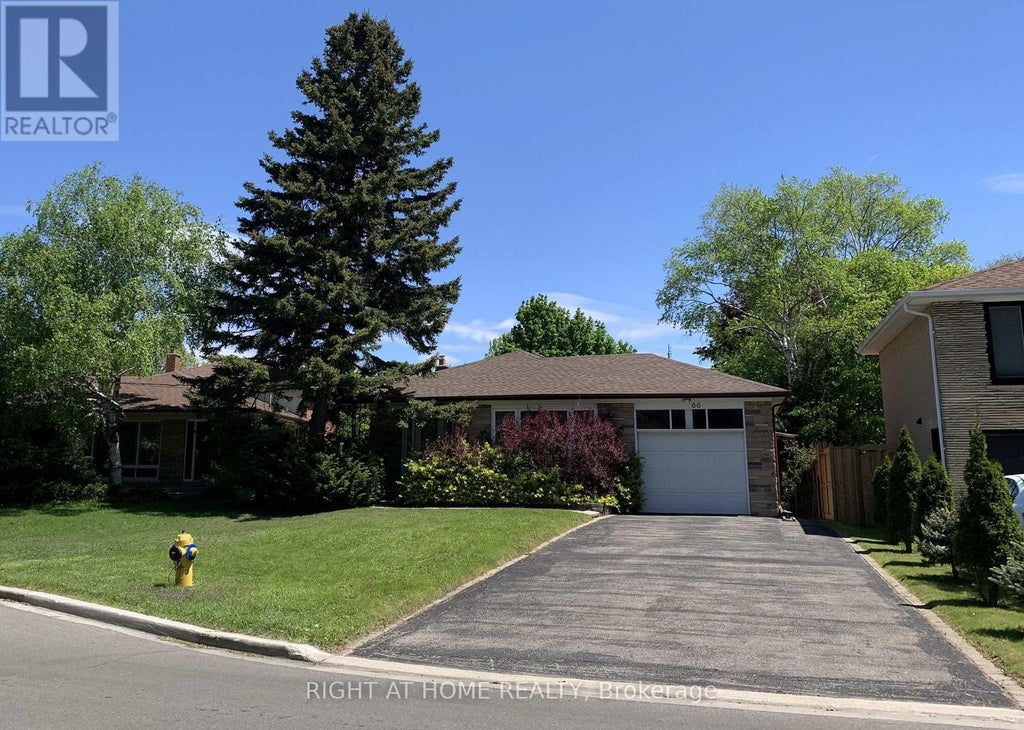 66 Dewlane Drive, Toronto (newtonbrook West)