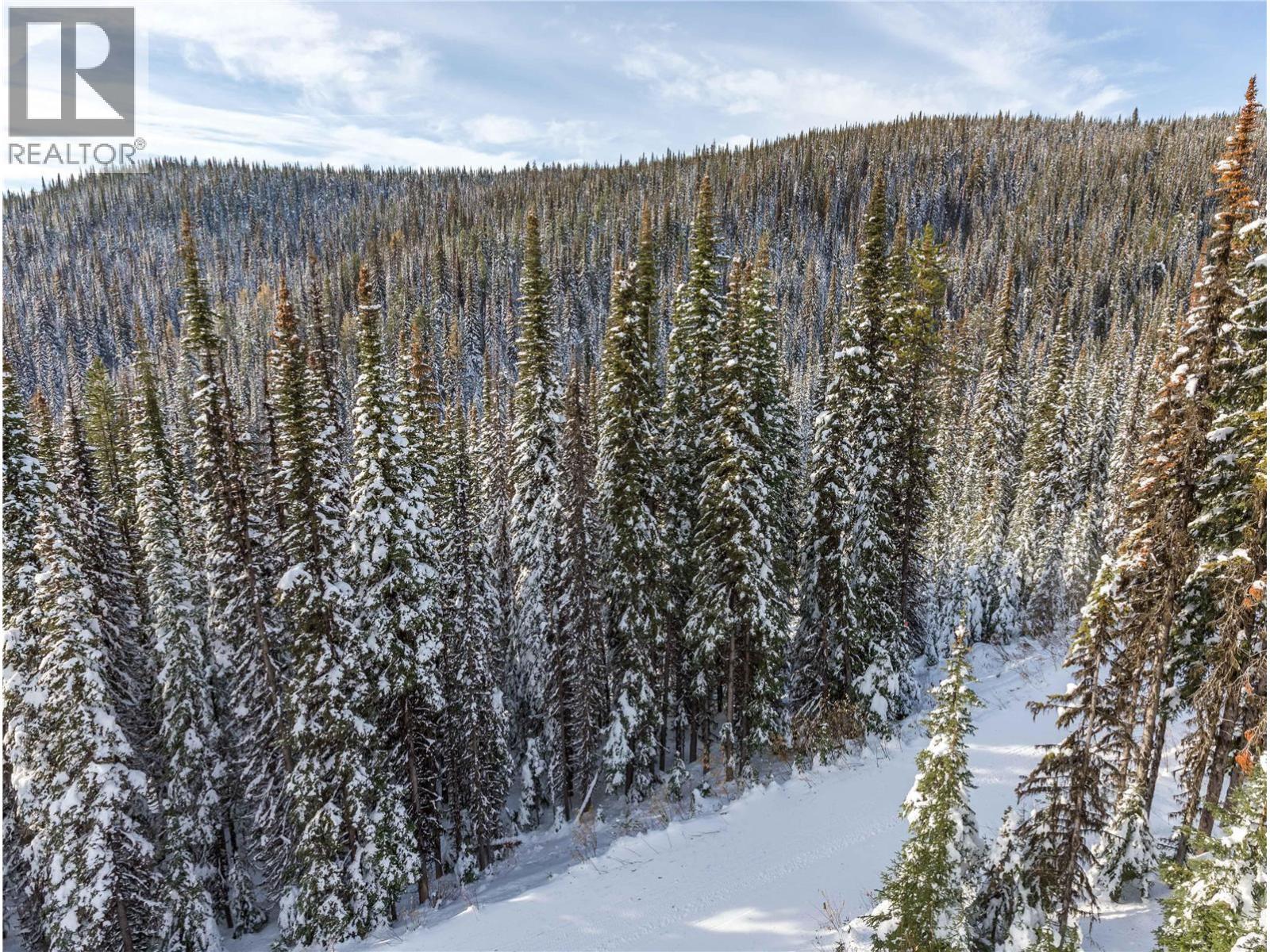 9966 Purcell Drive. Silver Star, British Columbia