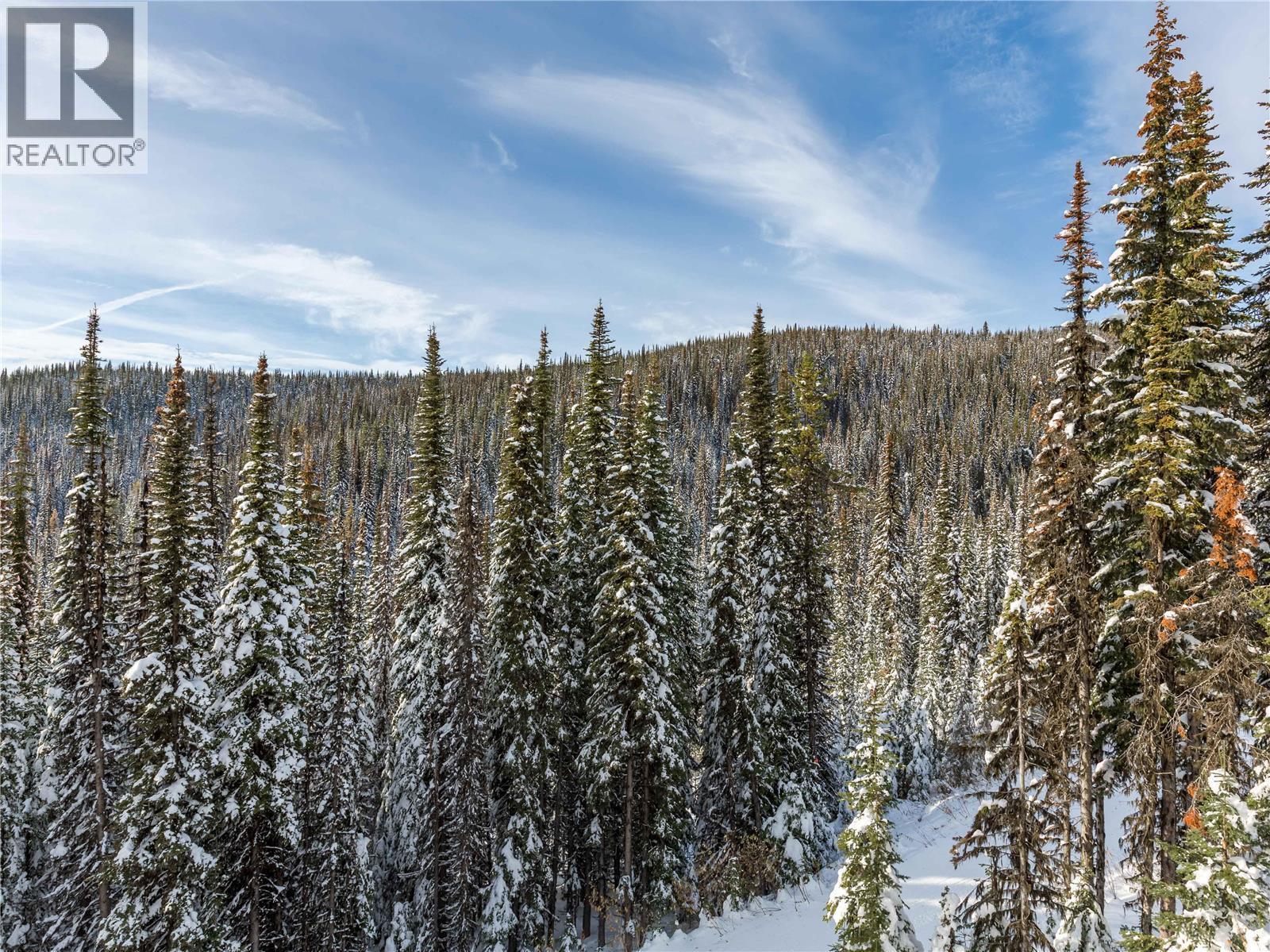 9966 Purcell Drive. Silver Star, British Columbia