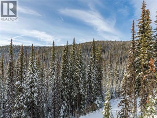 9966 Purcell Drive. Silver Star, British Columbia