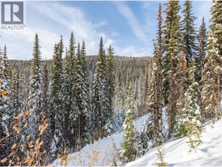 9966 Purcell Drive. Silver Star, British Columbia