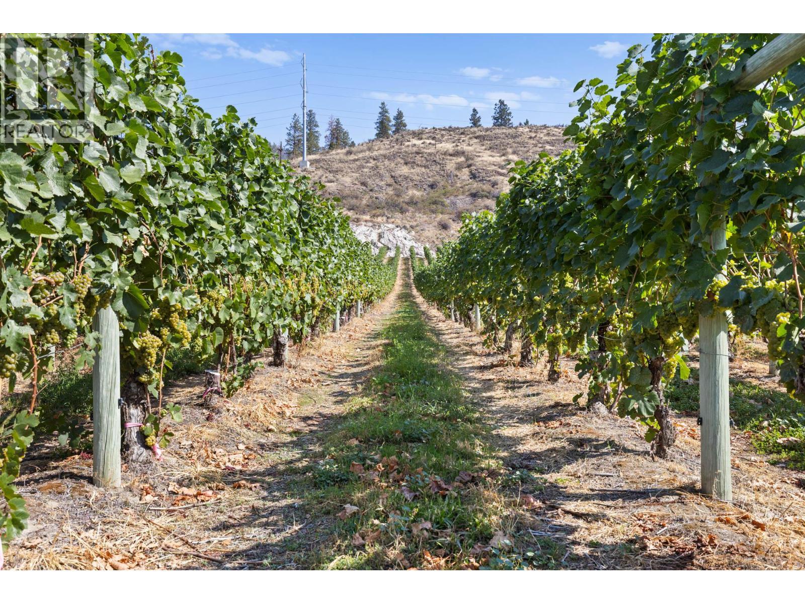 385 Matheson Road. Okanagan Falls, British Columbia