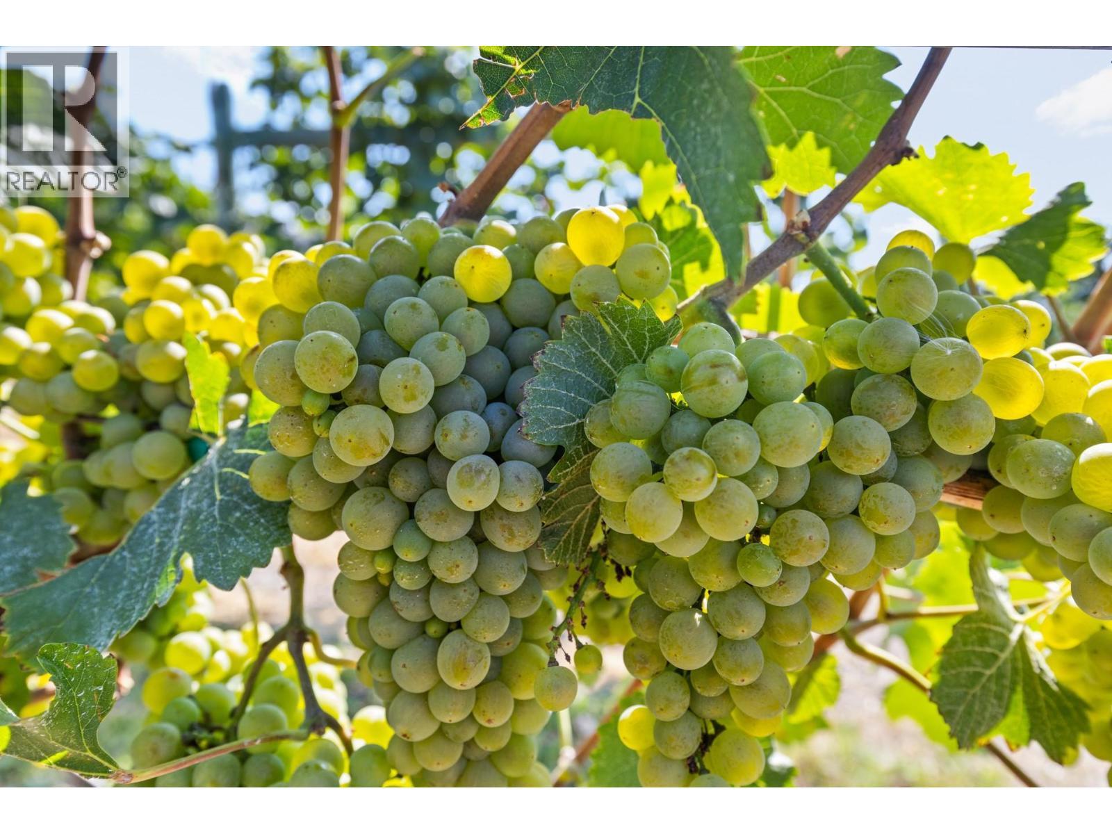 385 Matheson Road. Okanagan Falls, British Columbia