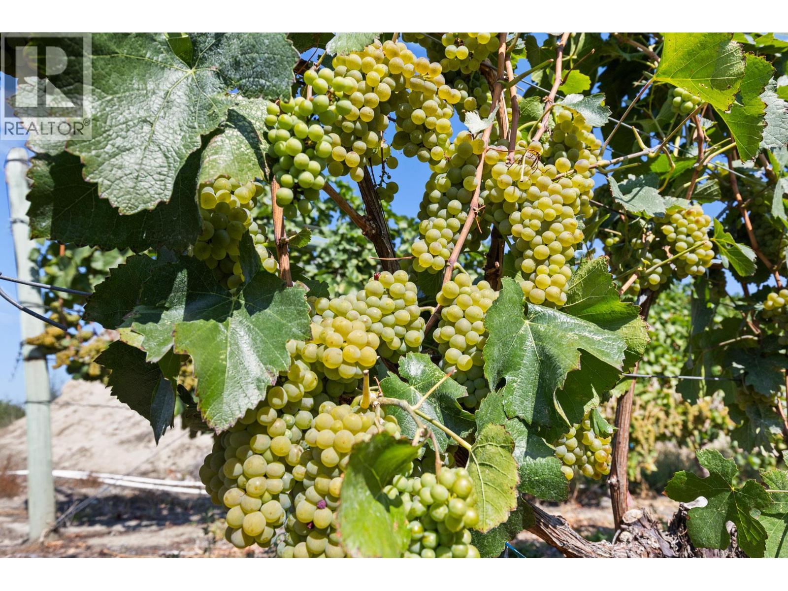 385 Matheson Road. Okanagan Falls, British Columbia