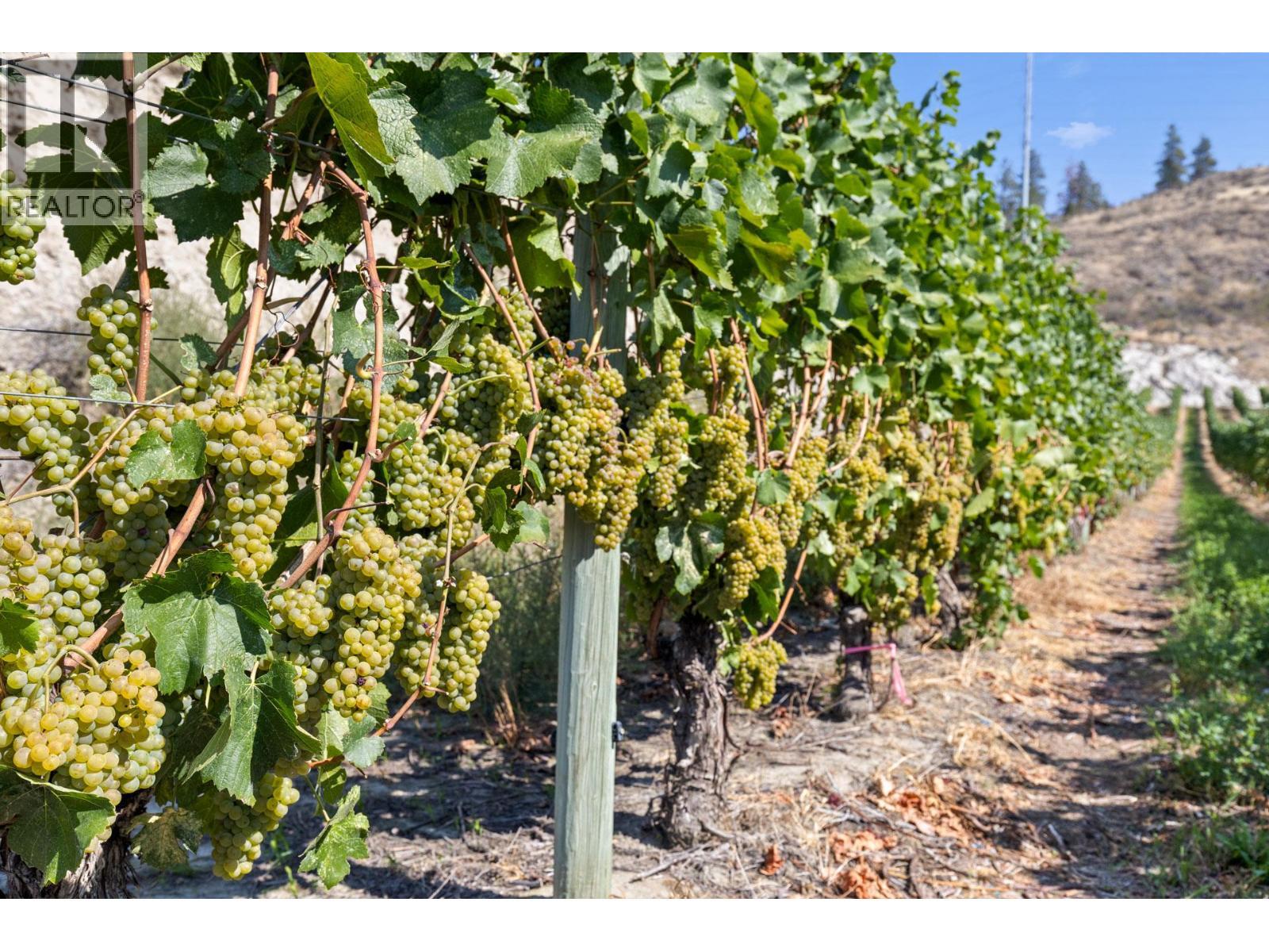 385 Matheson Road. Okanagan Falls, British Columbia