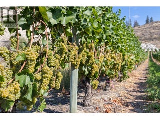 385 Matheson Road. Okanagan Falls, British Columbia