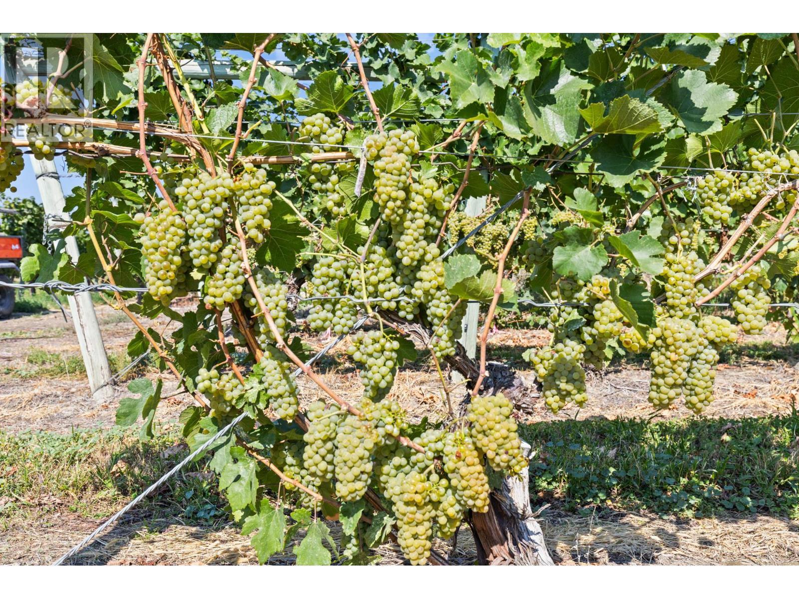 385 Matheson Road. Okanagan Falls, British Columbia