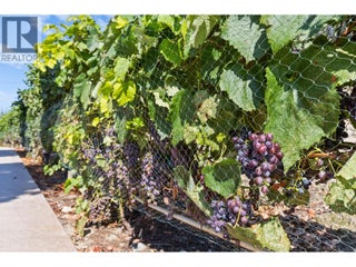 385 Matheson Road. Okanagan Falls, British Columbia