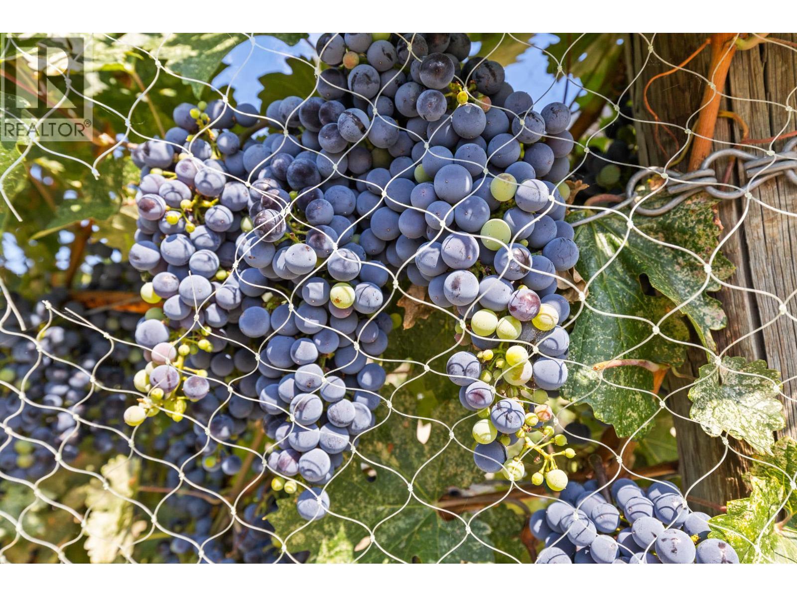 385 Matheson Road. Okanagan Falls, British Columbia