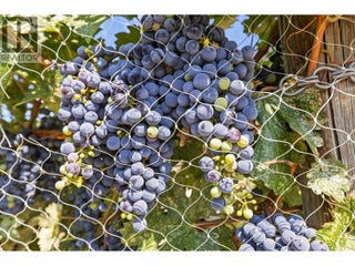 385 Matheson Road. Okanagan Falls, British Columbia