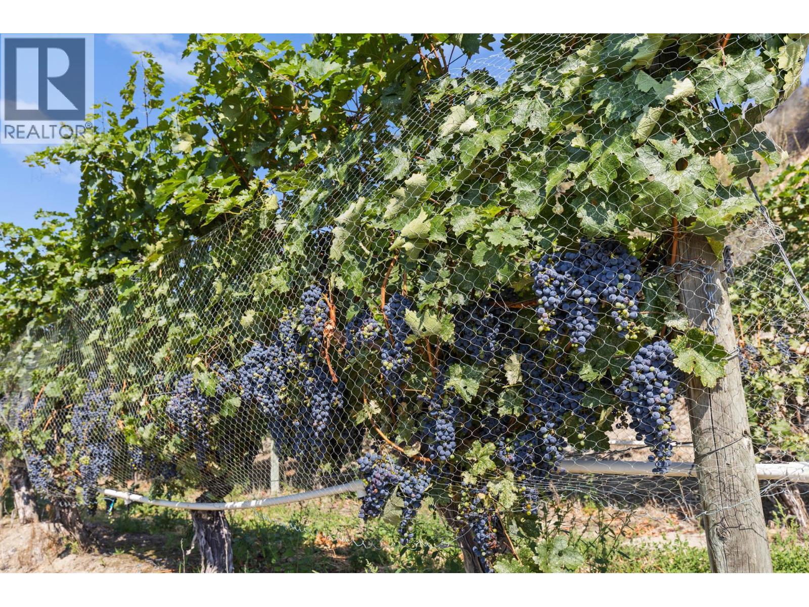 385 Matheson Road. Okanagan Falls, British Columbia