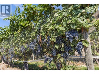 385 Matheson Road. Okanagan Falls, British Columbia