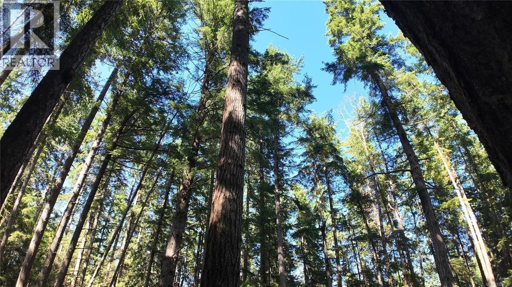 4480 Strachan Road, Hornby Island