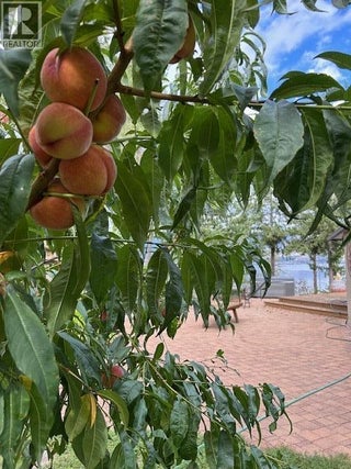 5715 Lakeshore Road. Kelowna, British Columbia