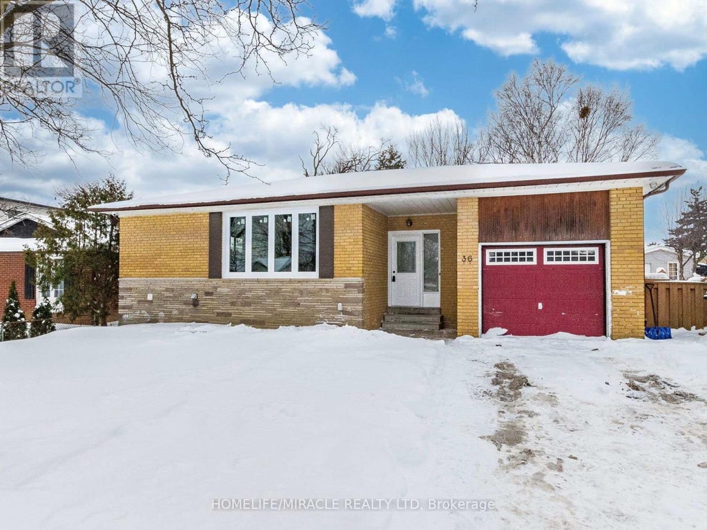 36 Mclaughlin Road N, Brampton (northwood Park)