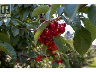 1409 + 1429 Teasdale Road. Kelowna, British Columbia