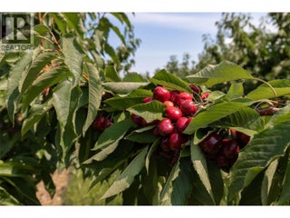 1409 + 1429 Teasdale Road. Kelowna, British Columbia