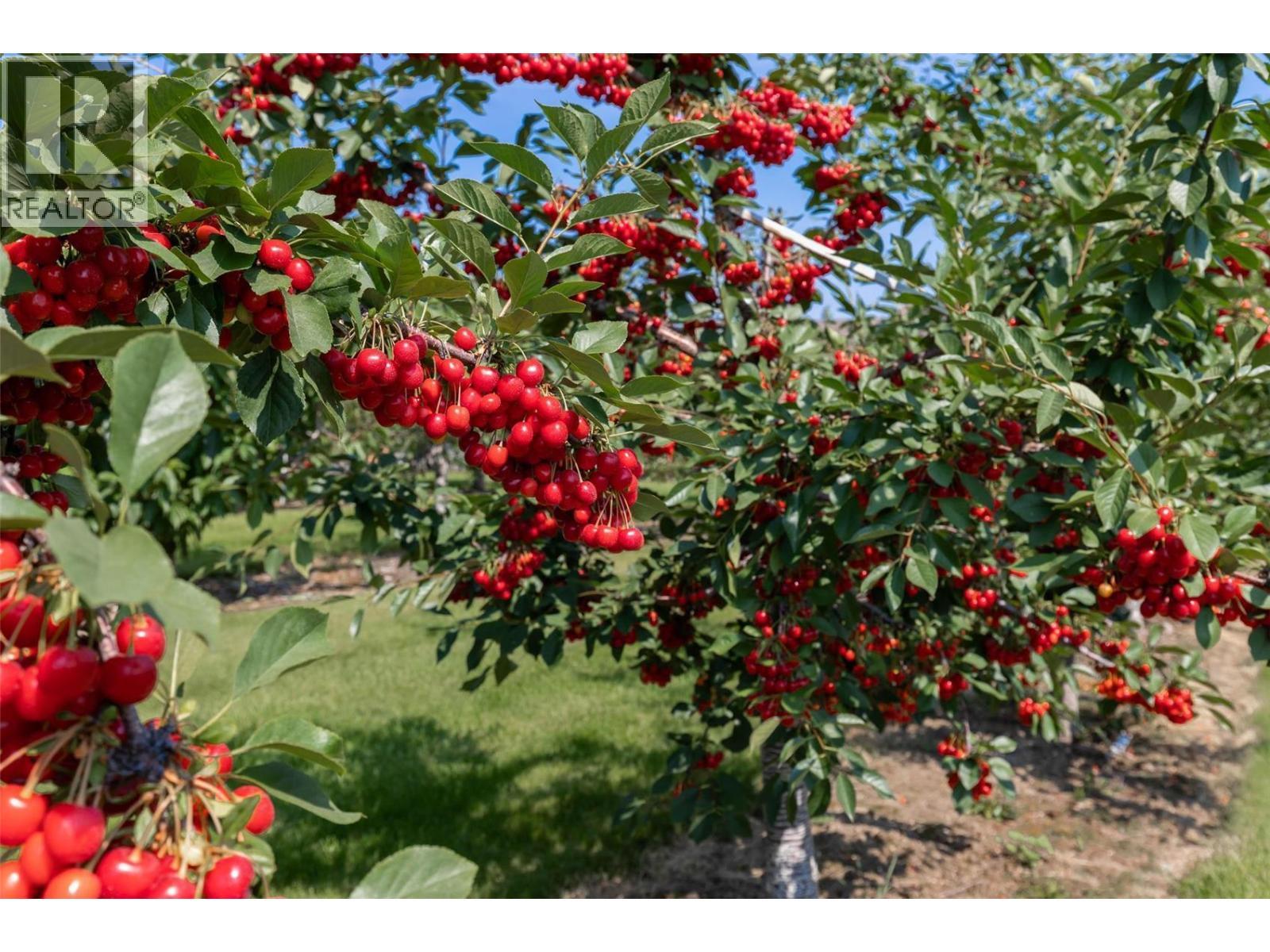 1409 + 1429 Teasdale Road. Kelowna, British Columbia