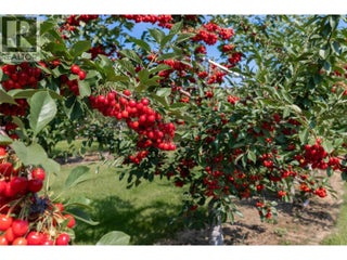 1409 + 1429 Teasdale Road. Kelowna, British Columbia