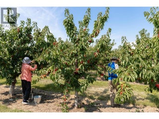 1409 + 1429 Teasdale Road. Kelowna, British Columbia