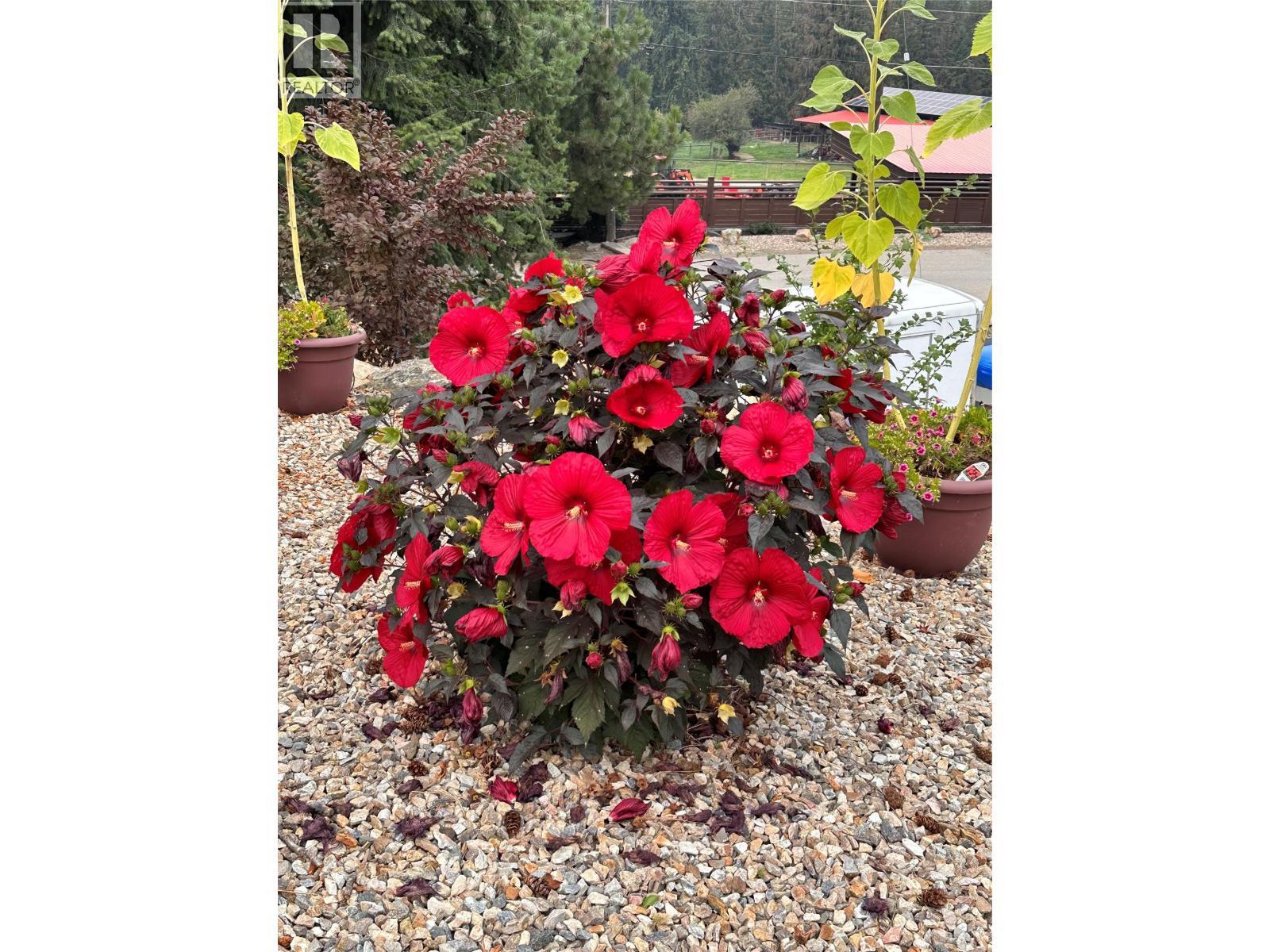 5100 Haynes Road. Vernon, British Columbia