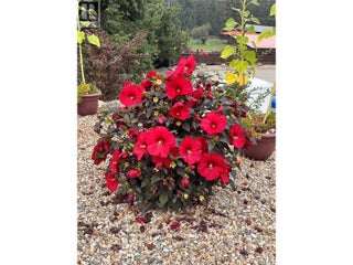 5100 Haynes Road. Vernon, British Columbia