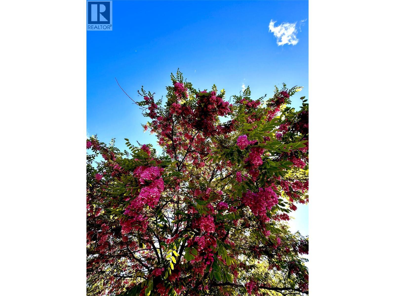 5100 Haynes Road. Vernon, British Columbia