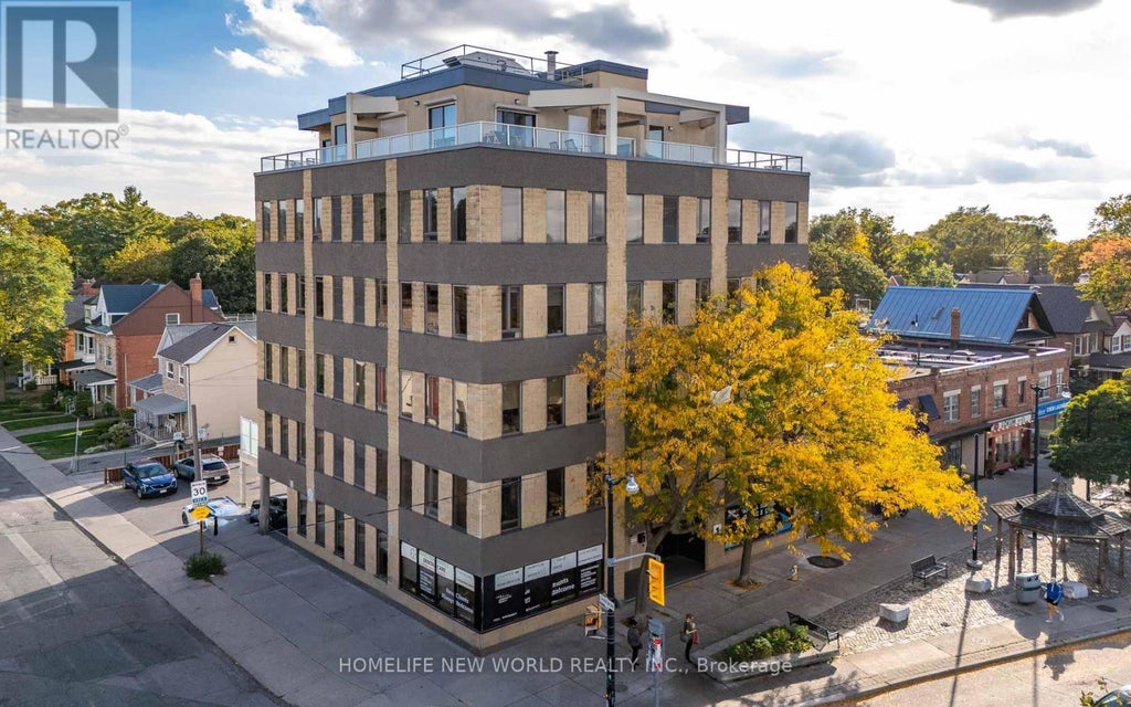 303 - 1 Street Johns Road, Toronto (junction Area)