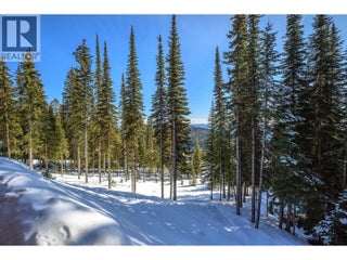 9960 Cathedral Drive. Silver Star, British Columbia