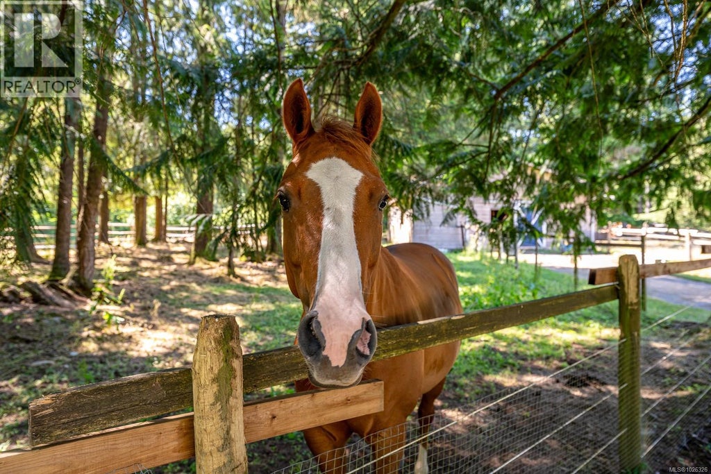 2468 Endall Road, Black Creek