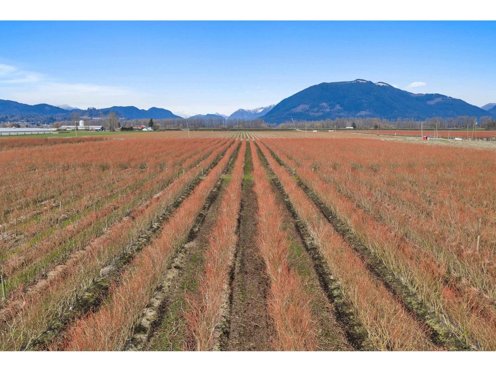 6209 Little Street, Abbotsford