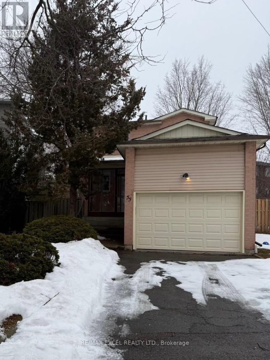 55 Plumbrook Crescent, Toronto (agincourt South-Malvern West)