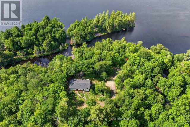 1065 Pine Lane S, Lake Of Bays (ridout)