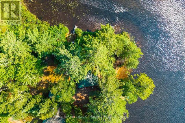 1015 Goodlife Lane, Algonquin Highlands (sherborne)
