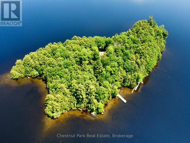 1 Cedar Island, Muskoka Lakes (wood (muskoka Lakes))