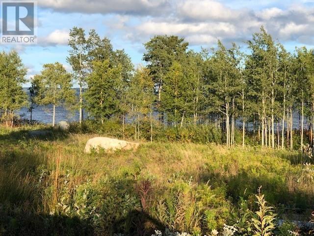 202 Comfort Cove Road, Comfort Cove-Newstead