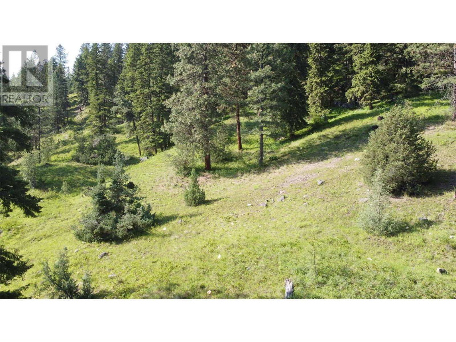 40 Acres Shuswap River Drive. Lumby, British Columbia