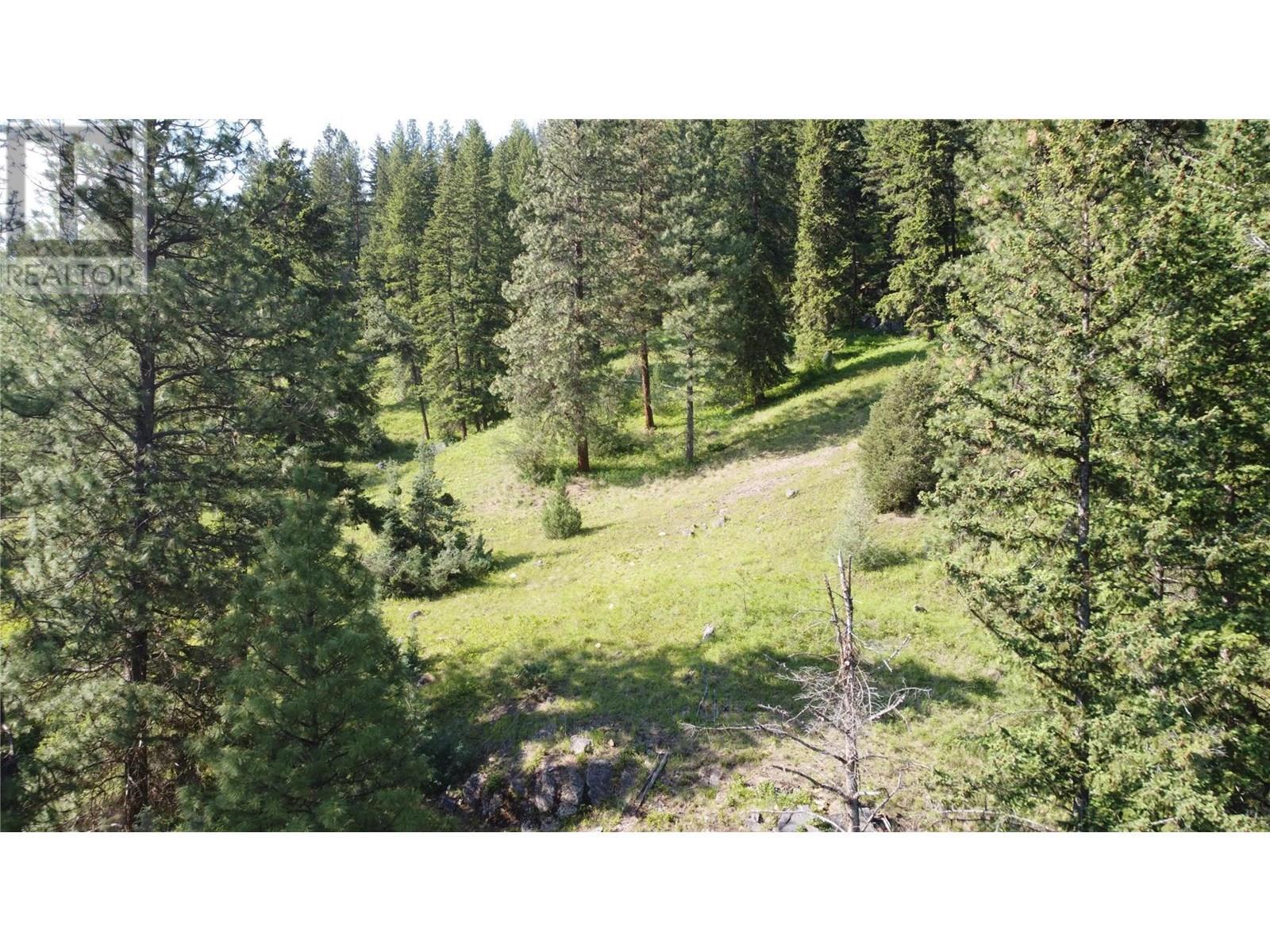 40 Acres Shuswap River Drive. Lumby, British Columbia
