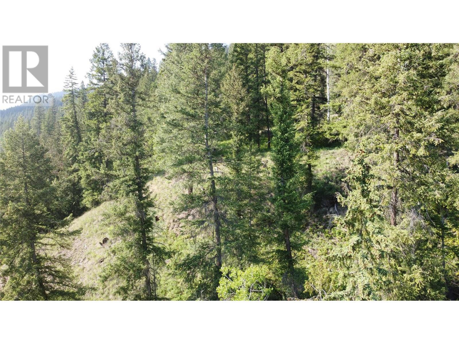 40 Acres Shuswap River Drive. Lumby, British Columbia