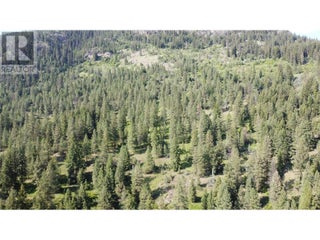 40 Acres Shuswap River Drive. Lumby, British Columbia