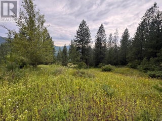 40 Acres Shuswap River Drive. Lumby, British Columbia
