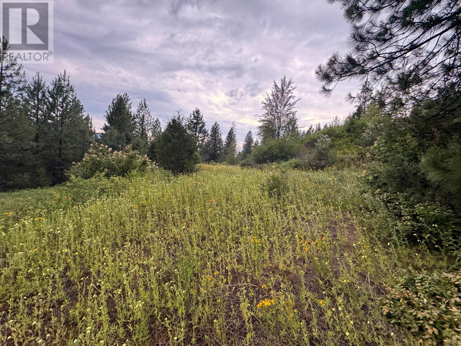 40 Acres Shuswap River Drive. Lumby, British Columbia